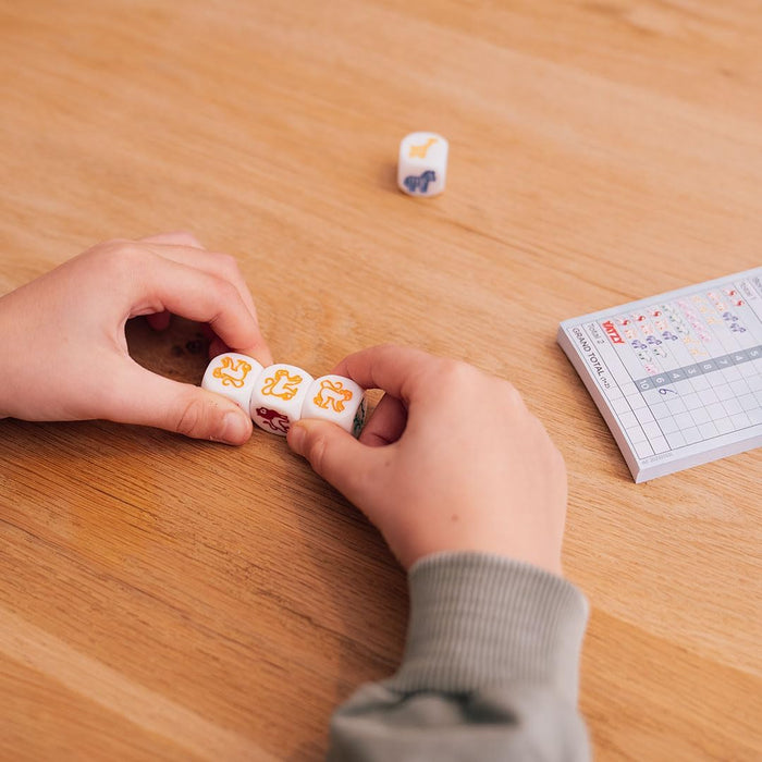 SmartGames - Zoo Yatzy Dice Game