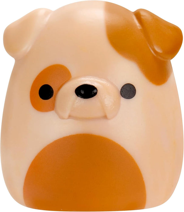 SquishAlong -  Squishmallow Collectibles 8 Figure Pack (Style 4) (Wave 3)