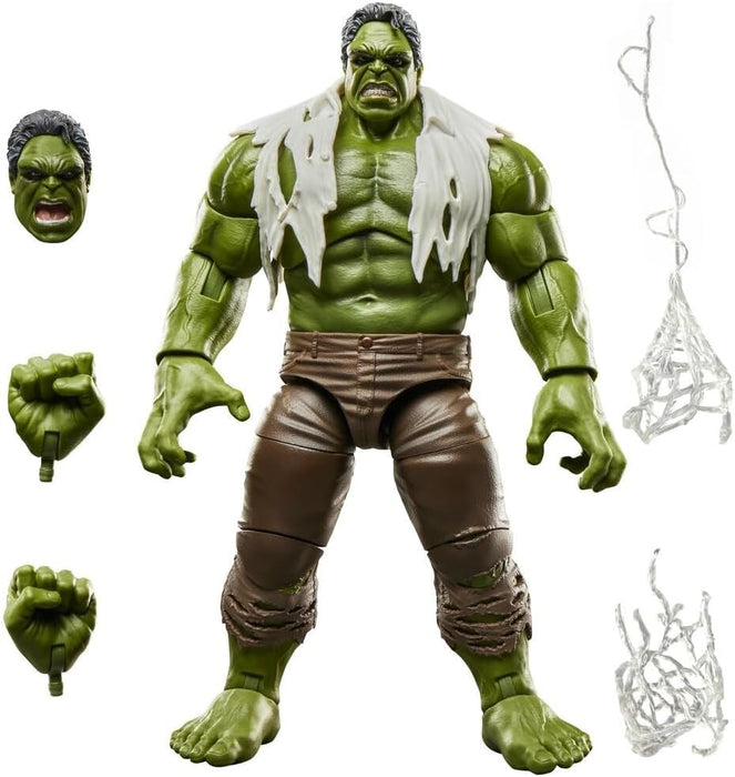 Marvel Legends Series Spider-Man Brand New Day Hulk Action Figure