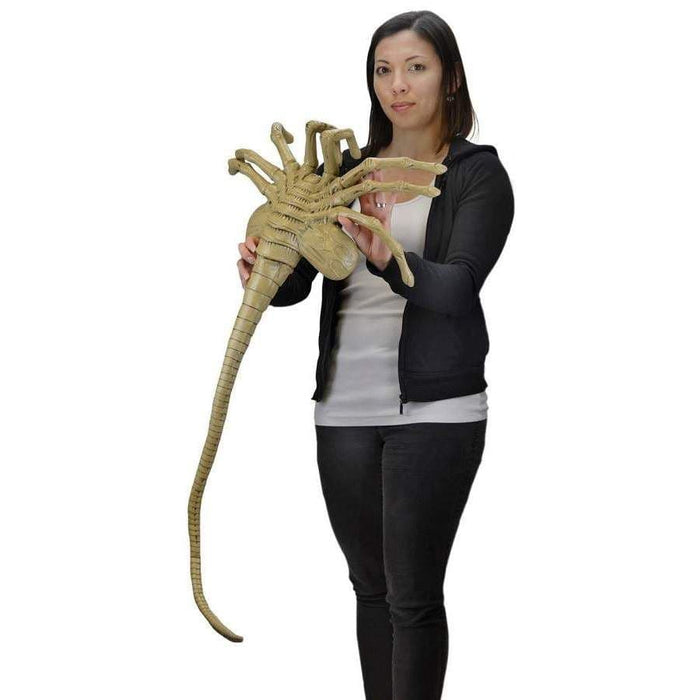 Alien Foam Prop Lifesize Face Hugger