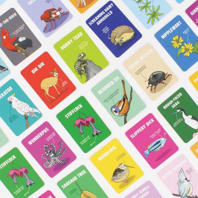 Don't Be A Dik Dik Card Game