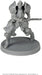 Dark Souls RPG Minis - Captains & Warriors