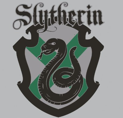 Harry Potter Slytherin Snapback Cap (Grey/Green)